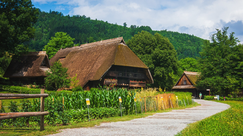 Historic farmhouses at the Black Forest Open Air Museum in Germany