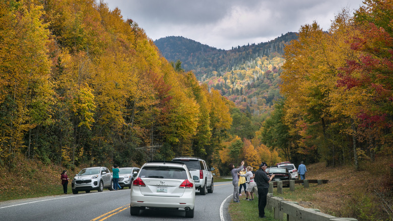 Traffic on the roads in Great Smoky Mountains National Park