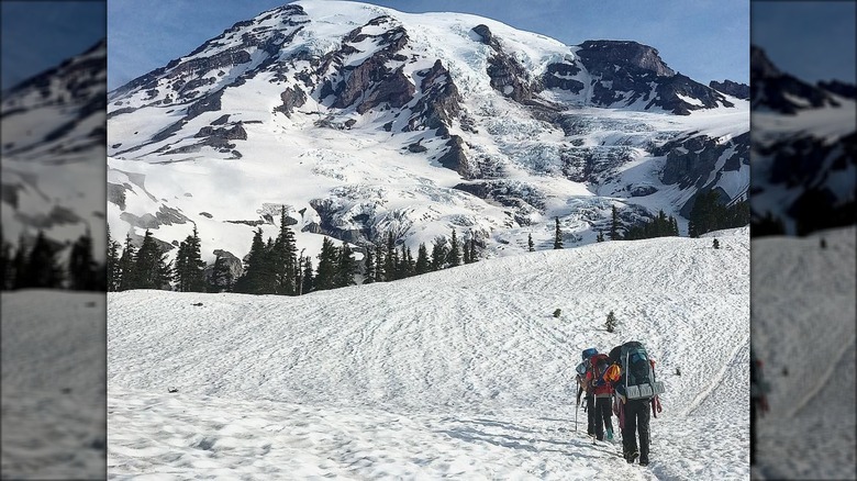 Hikers on the Camp Muir Trail