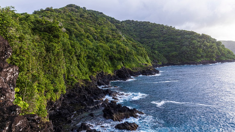 tropical coast american samoa 