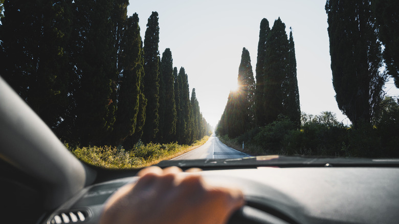 Driving a rental car on vacation