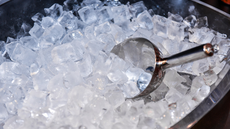 Ice bucket with scoop