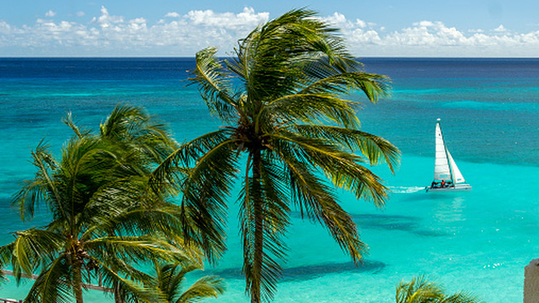 A sailboat off the coast of Barbados