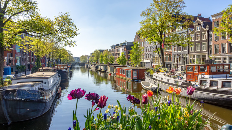 A canal in Amsterdam in the Netherlands