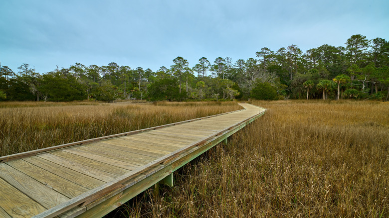 Boardwalk at Skidaway Island State Park in Georgia