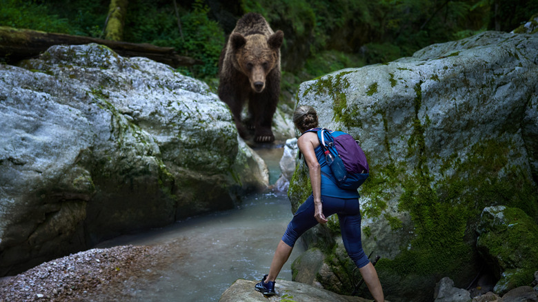 Hiker in close encounter with bear near rocks