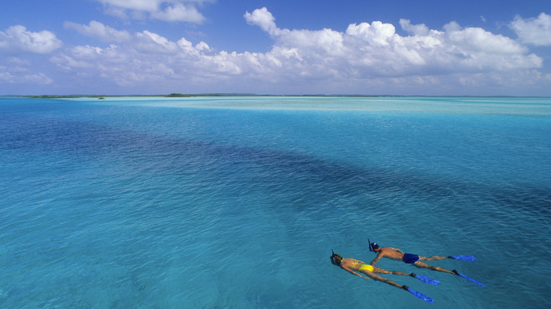 Couple snorkeling in blue, Bahamian waters on a sunny day