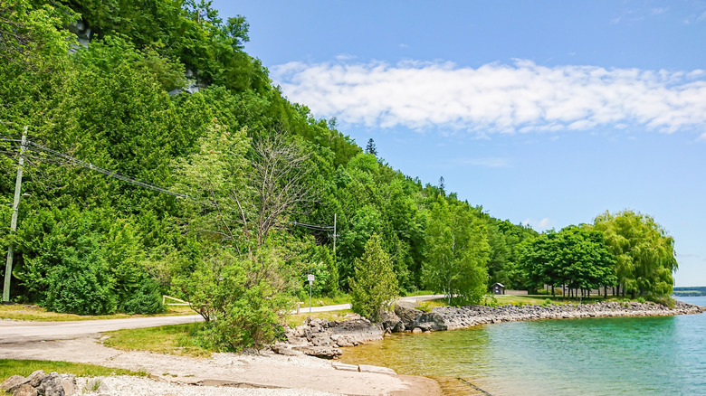 A forested park and waterfront road on Georgian Bay near Wiarton, Ontario.