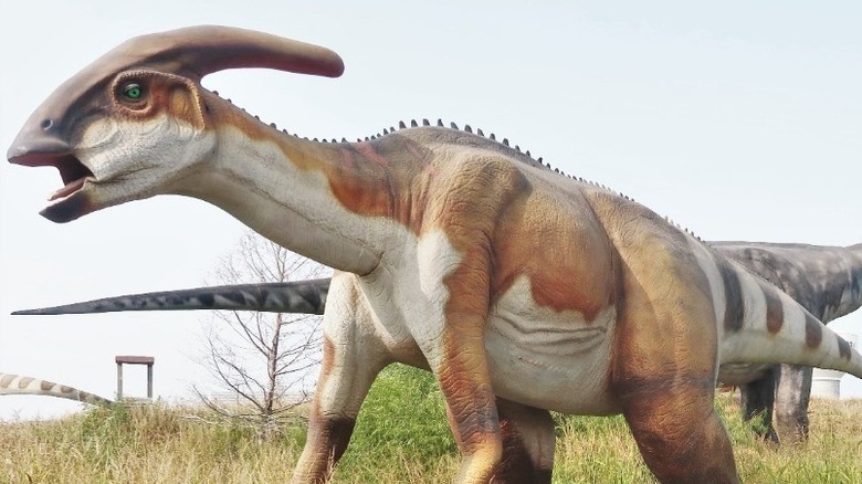 Dinosaur at Field Station: Dinosaurs