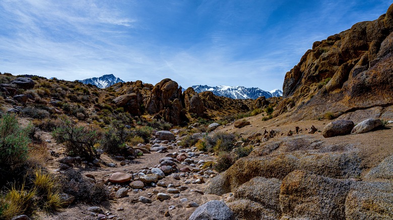 Rock formations and vegetation in Buttermilk Country, California