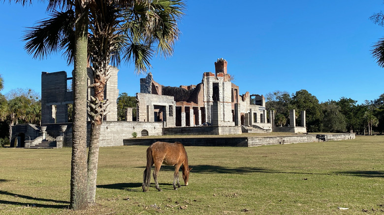 horse with ruins of old building in background