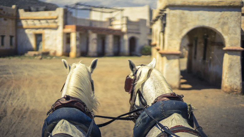 two white carriage horses from rider`s perspective in old western town
