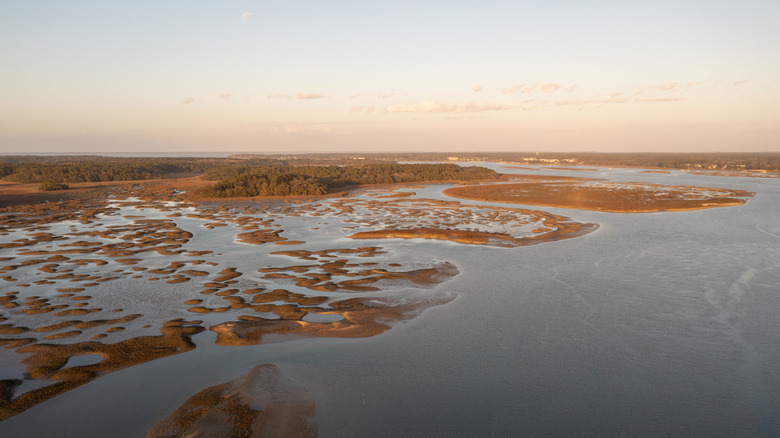 ﻿﻿Pinckney Island National Wildlife Refuge