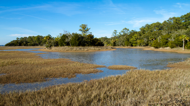 ﻿﻿Pinckney Island National Wildlife Refuge