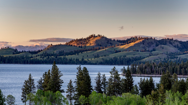 The grassy hills of Wild Horse Islands on Flathead Lake, MT