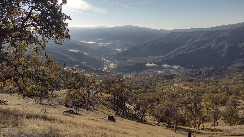 Valley views along the Lynch Canyon Trail near Williams, California