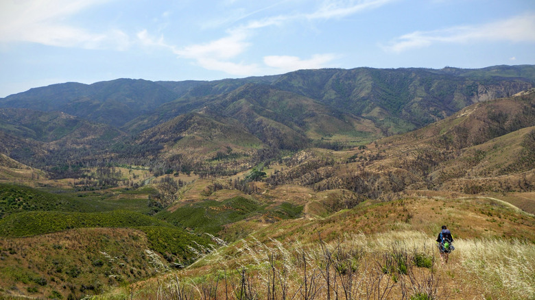 A hiker on the mountain trails near Williams, California