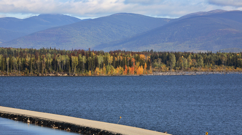 View of Williston Lake in autumn with a forest in the foreground and mountains along the horizon