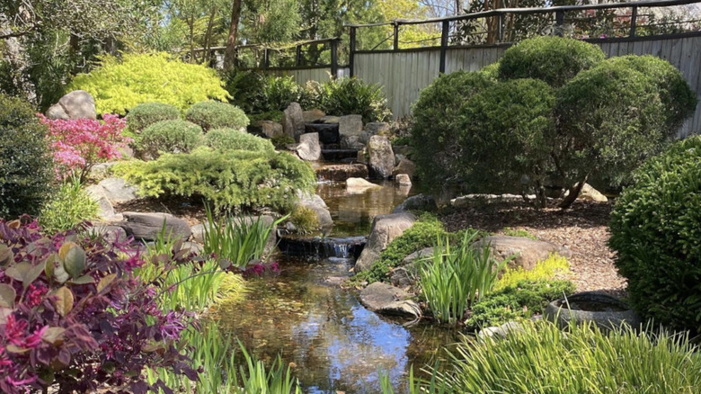 Water features trickle between grasses and hedges in New Hanover County Arboretum