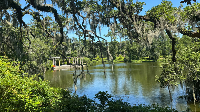 Water and trees with Spanish moss in Airlie Gardens in Wilmington, North Carolina