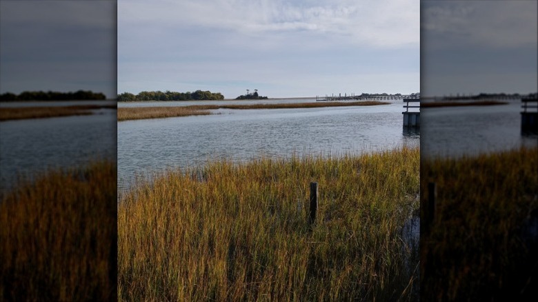 View of the water at Trails End Park