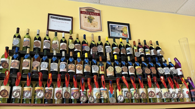 Award-winning wines on display at Noni Bacca Winery in Wilmington, North Carolina