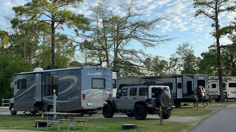 campers lined up in sites alongside road