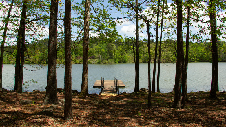 A small wooden dock overlooking the lake at Fort Yargo State Park