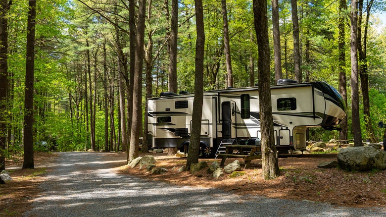 Secluded campground with forested sites and room for RVs