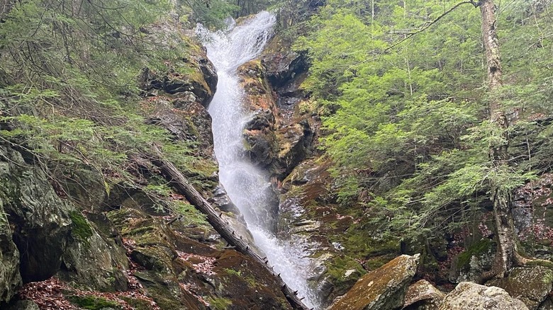 Cascading waterfalls in Mount Everett State Reservation