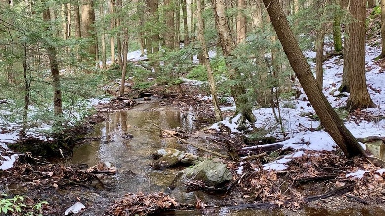 Woman hiking across a river and admiring it