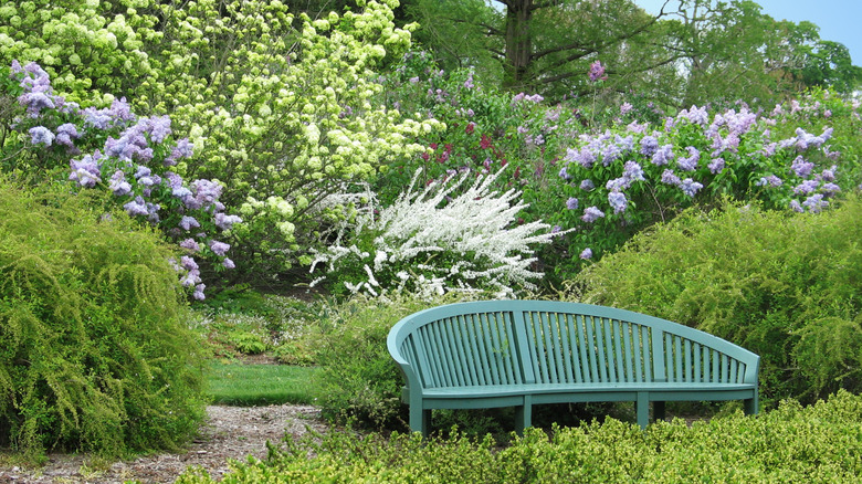 View of bench surrounded by flowers and plants at Winterthur Garden