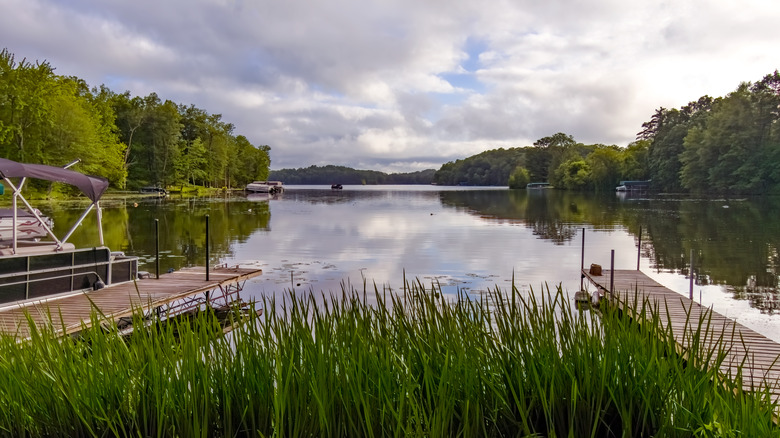 A picture from shore of a Wisconsin lake with two docks and a tree-lined shore