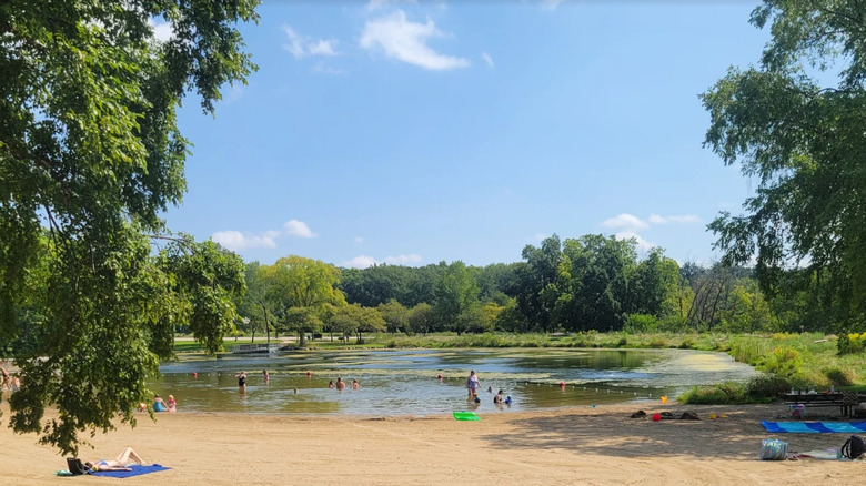 Muskegon State Park Beach's shoreline