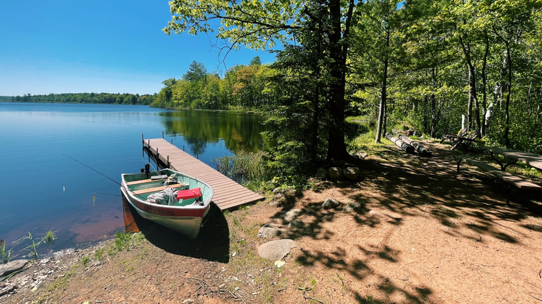 small cabin on a lake surrounded by pine forest