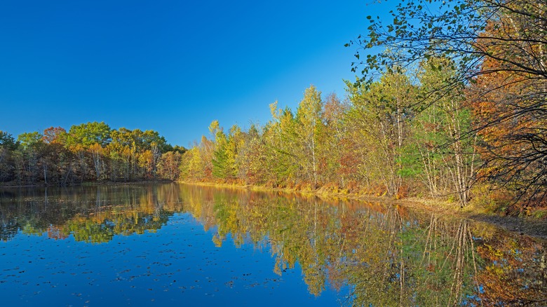 Fall Reflections on a Quiet Lake in Buckhorn State Park in Wisconsin