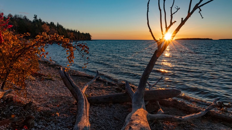 A dead tree has fallen over on the Green Bay shorewhere it cradles the setting sun, Peninsula State Park, Door County, Wisconsin