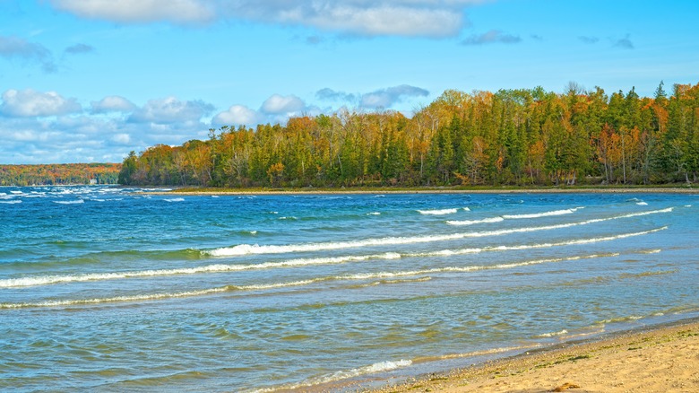 Autumn Scene on the Shore of Lake Michigan in Peninsula State Park in Wisconsin