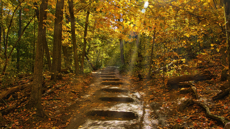 Trail in Devils Lake State Park, Wisconsin, in autumn