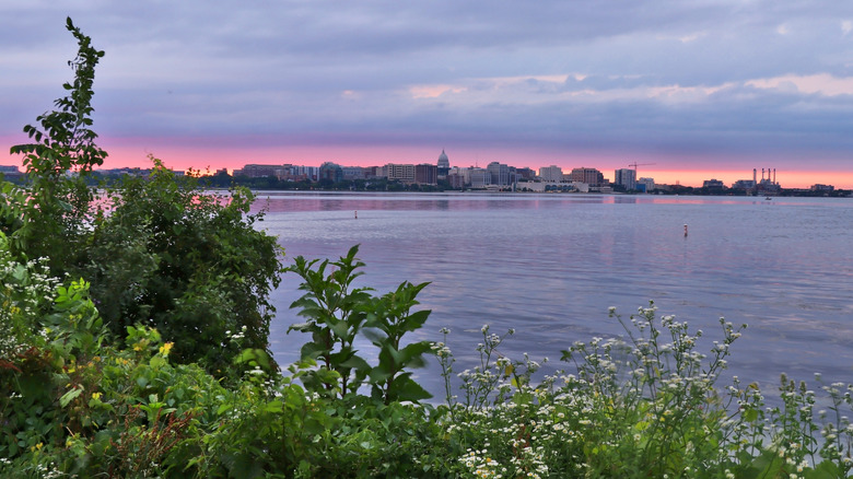 View of the Madison skyline from Olin-Turville Park