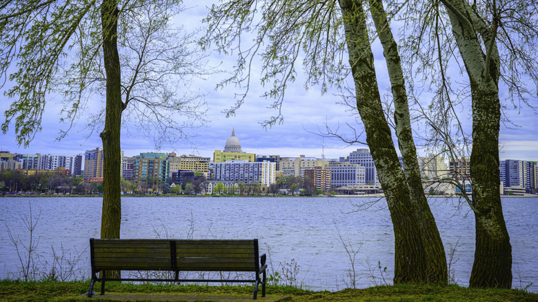 Park bench view of the Madison city skyline
