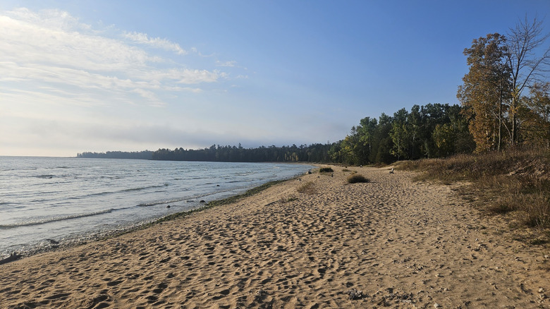 A sandy beach along Lake Michigan in Newport State Park