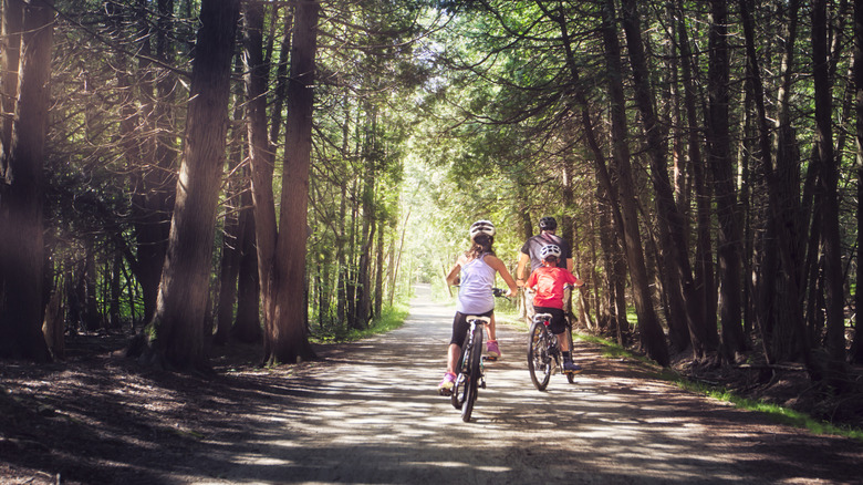 Cyclists ride along a forested trail
