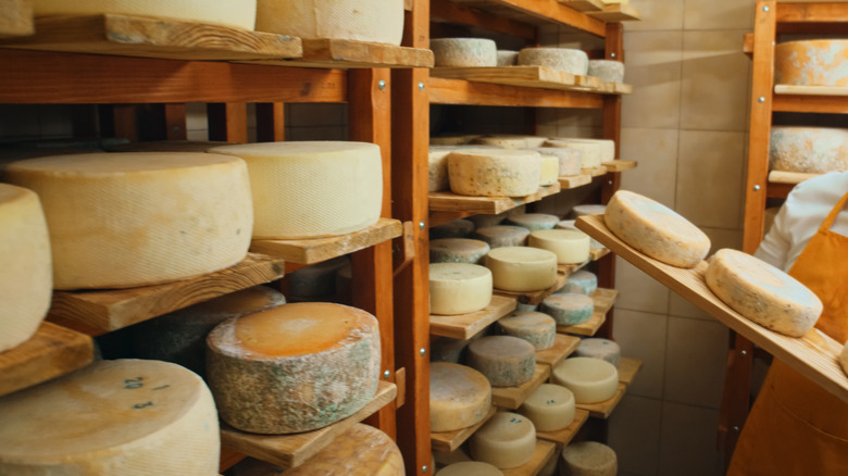 A cheesemaker carrying three wheels of cheese past shelves full of cheese wheels
