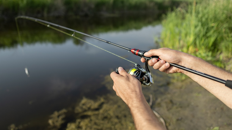 Close-up of hands holding a rod and fishing in the river