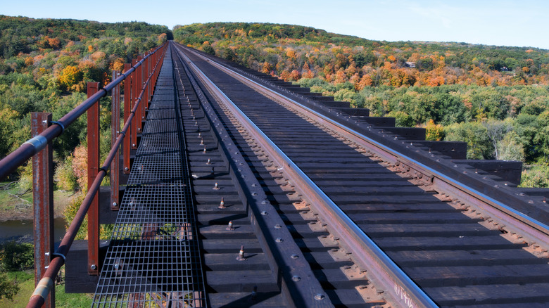 A railway bridge over the Saint Croix river corridor