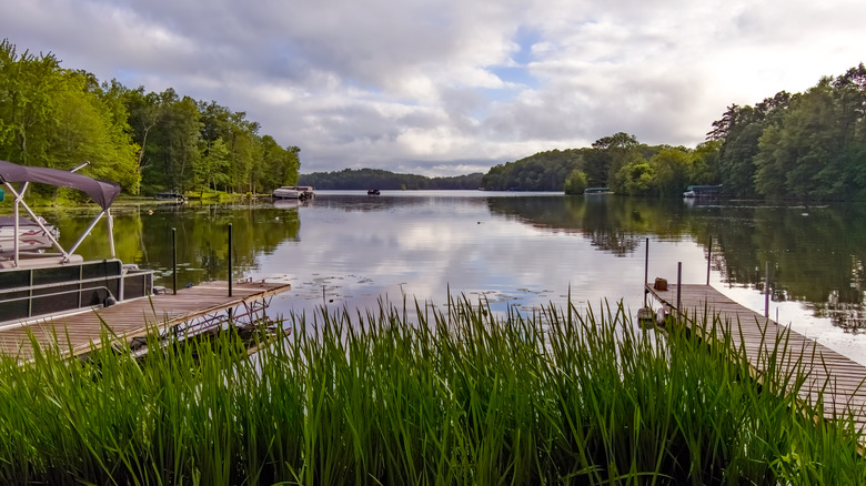 A scenic lake in Washburn County, Wisconsin