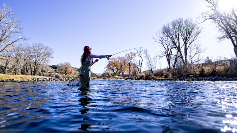 Woman fly fisher casting on a private lake in Northwest Wisconsin