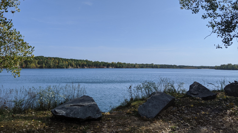 A shoreline view of the clear water at Wisconsin's Wazee Lake on a blue-sky day