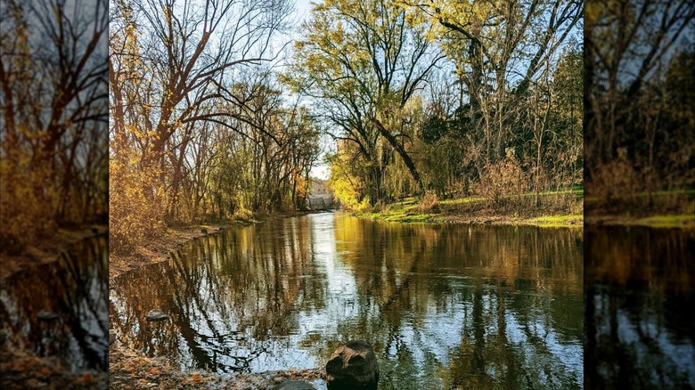 Tivoli Island Natural Park in Watertown, Wisconsin